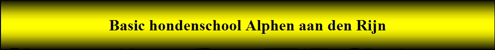 Basic hondenschool Alphen aan den Rijn
