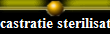 castratie sterilisatie hond