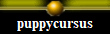 puppycursus