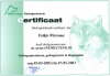 instructeur 3