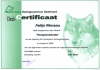 Kynologisch Gedragsherapeut module 7: therapiemethoden