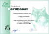 Kynologisch Gedragstherapeut workshop gedragtesten