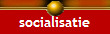 socialisatie