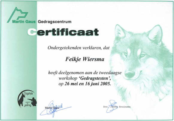 Kynologisch Gedragstherapeut workshop gedragtesten
